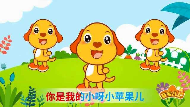 上海电力版小苹果南向资金持有中广核电力-第2张图片-太平洋在线下载