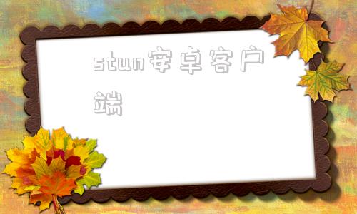 stun安卓客户端luckystun内网穿透